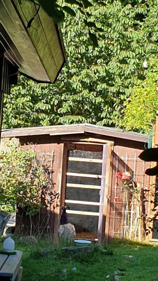 Ferienhaus Nr. 60 Im Ferienpark Am Twistesee Bad Arolsen Dış mekan fotoğraf