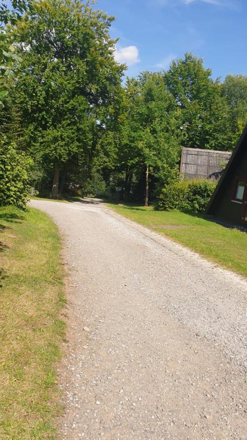 Ferienhaus Nr. 60 Im Ferienpark Am Twistesee Bad Arolsen Dış mekan fotoğraf